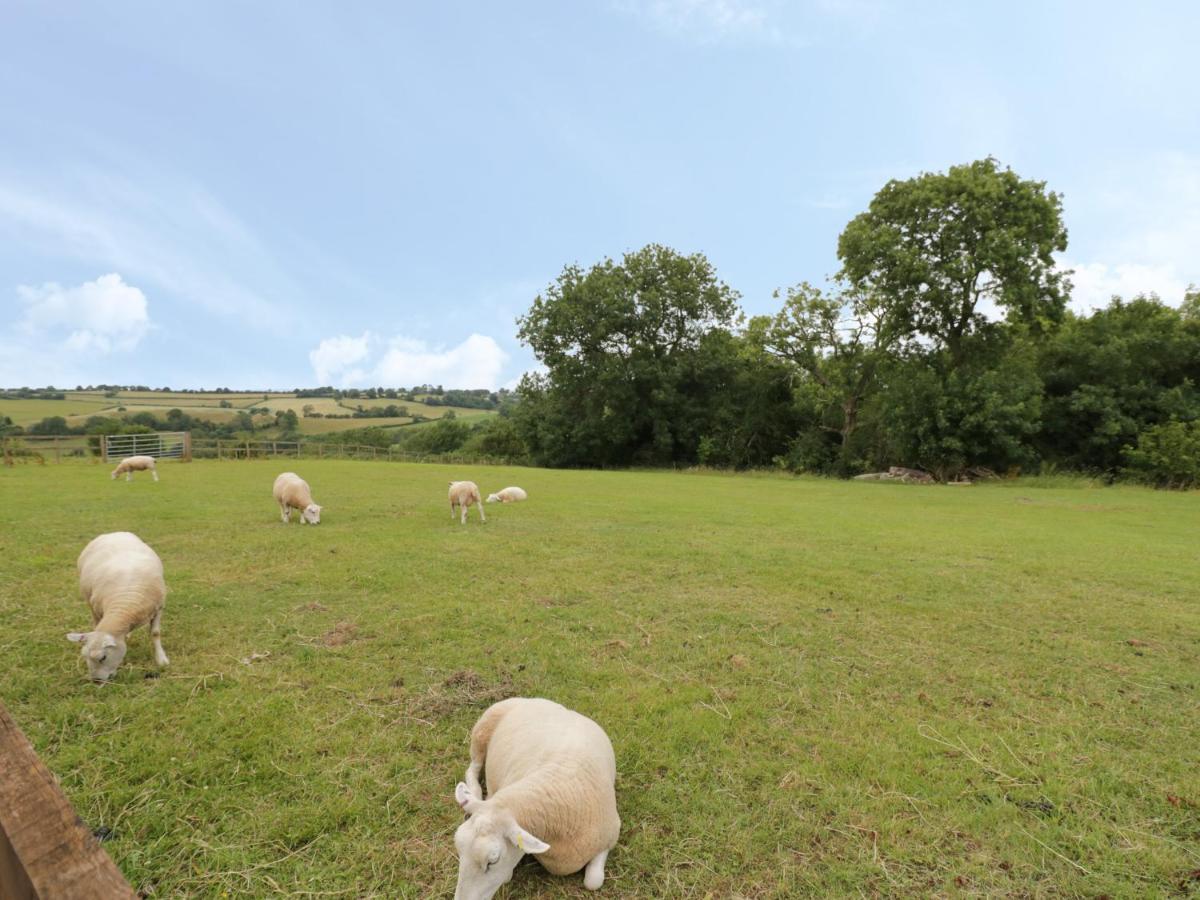 Holmer Farm Лиоминстър Екстериор снимка